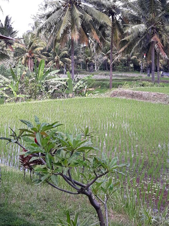 Umah Dangin Guest House Ubud  Exterior photo