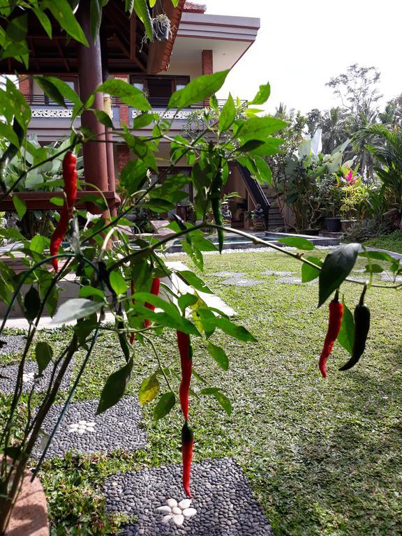 Umah Dangin Guest House Ubud  Exterior photo